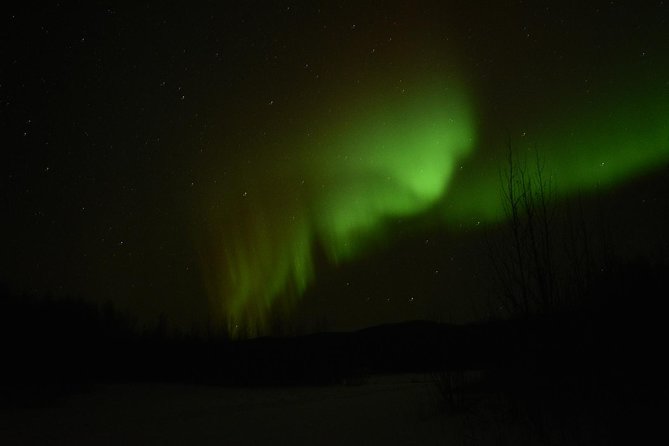 Arctic Circle and Northern Lights Tour From Fairbanks - Logistics and Details