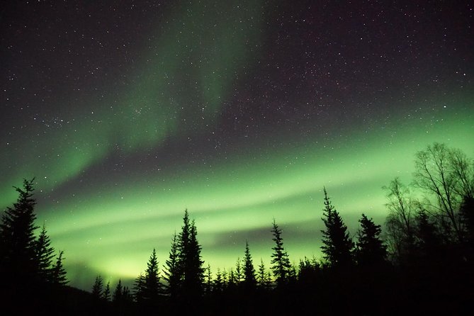 Arctic Circle and Northern Lights Tour From Fairbanks - Confirmation Process