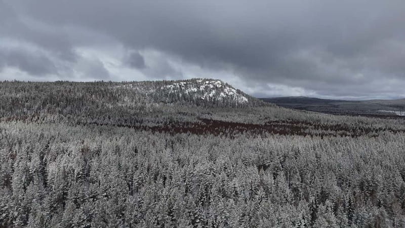 Arctic Circle and Waterfall Day Tour - Cultural tour - Discovering the Arctic Circle and Its Surroundings