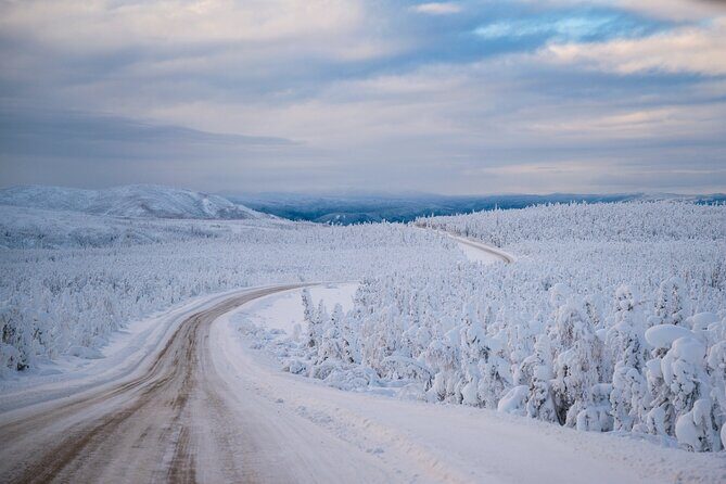 Arctic Circle Northern Lights Dalton Highway Winter Tour - The Itinerary: What to Expect on the Dalton Highway Adventure