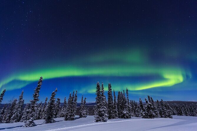 Arctic Circle Northern Lights Dalton Highway Winter Tour - FAQs