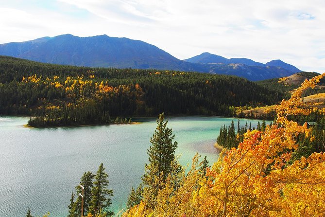 Arctic Day: Carcross & Southern Lakes Hiking Tour | Full Day - Frequently Asked Questions