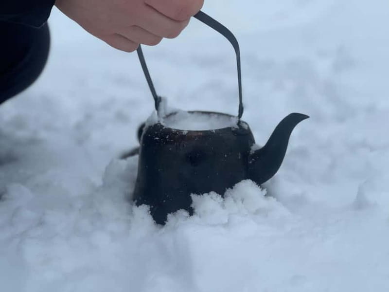 Arctic Gateway: Snowshoeing Expedition in Lapland - Key Points