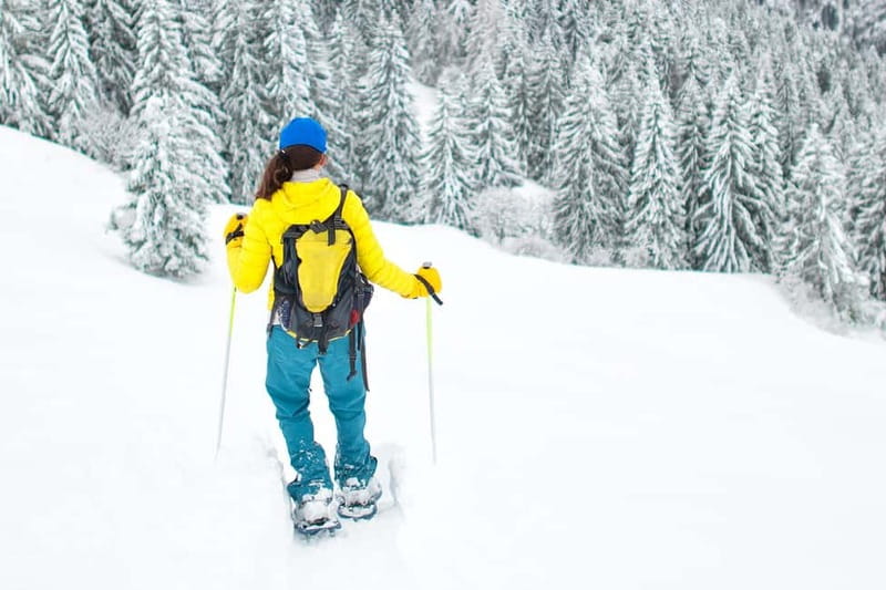 Arctic Gateway: Snowshoeing Expedition in Lapland - Experiencing Lapland on Snowshoes: What to Expect