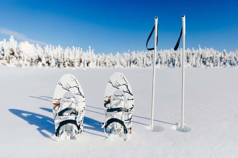 Arctic Gateway: Snowshoeing Expedition in Lapland - The Sum Up