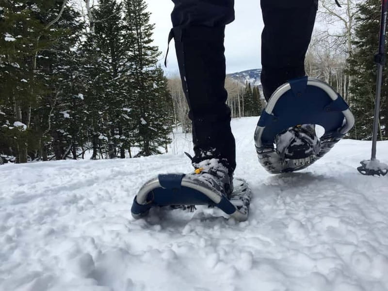 Arctic Gateway: Snowshoeing Expedition in Lapland - FAQ