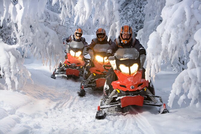 Arctic Huskies & Reindeers, Snowshoeing in Wildness - Snowshoeing Adventure in the Wilderness