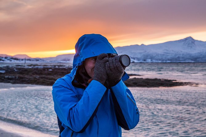 Arctic Nature Tour From Tromsø by Minibus - Inclusions