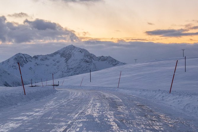 Arctic Nature Tour From Tromsø by Minibus - Meeting and Pickup