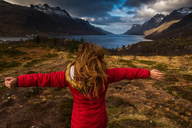Arctic Nature Tour From Tromsø by Minibus - Getting There