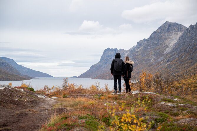 Arctic Roadtrip: fjords with scenic picnic | Private - Arctic Roadtrip: Fjords with Scenic Picnic | Private — A Deep Dive