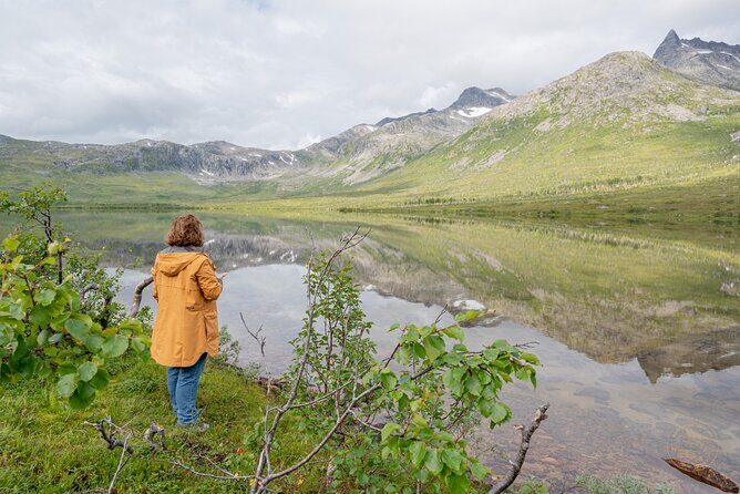 Arctic Roadtrip: fjords with scenic picnic | Private - Frequently Asked Questions