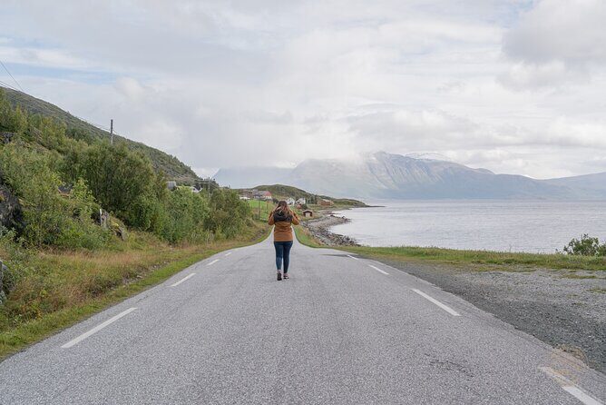 Arctic Roadtrip: fjords with scenic picnic | Private - Wrapping Up