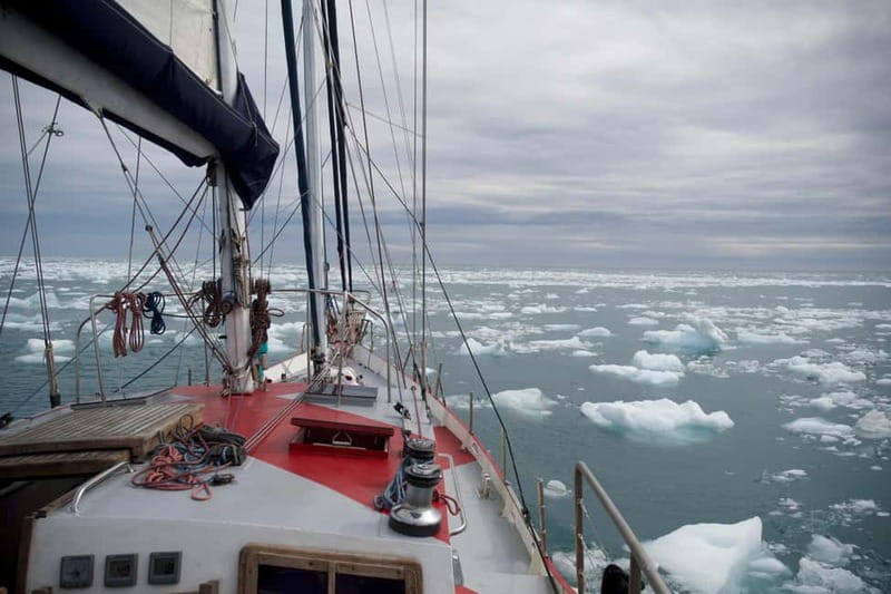 Arctic: Sailing Expedition Svalbard, Iceland, Greenland - A closer look at the journey