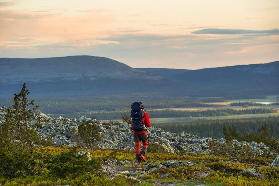Arctic Wilderness Hike from Rovaniemi (Midnight sun/Sunset) - Who Will Love This Experience?  