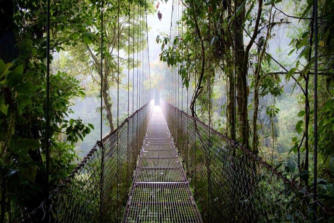 Arenal Hanging Bridges in Mistico Park - Tour Details and Itinerary