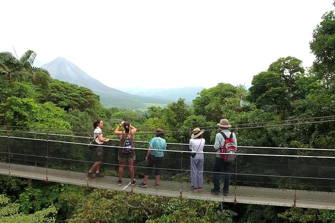 Arenal Hanging Bridges in Mistico Park - Wildlife Spotting Opportunities