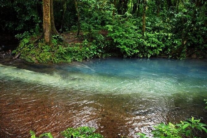 Arenal La Fortuna Tour: Park + Hanging Bridges + Thermal Waters - Breathtaking Arenal Volcano