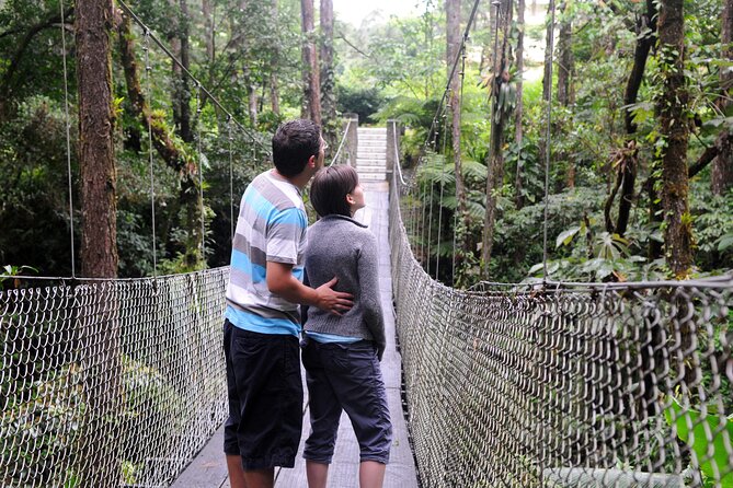 Arenal Observatory Lodge & Trails - Meeting and Pickup Details