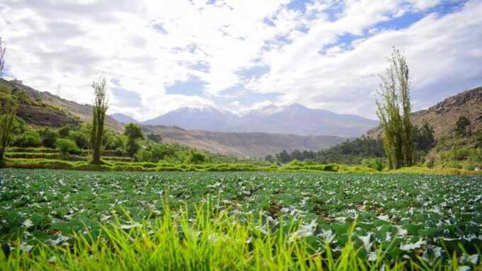 Arequipa: City Tour With Panoramic Bus - Important Information