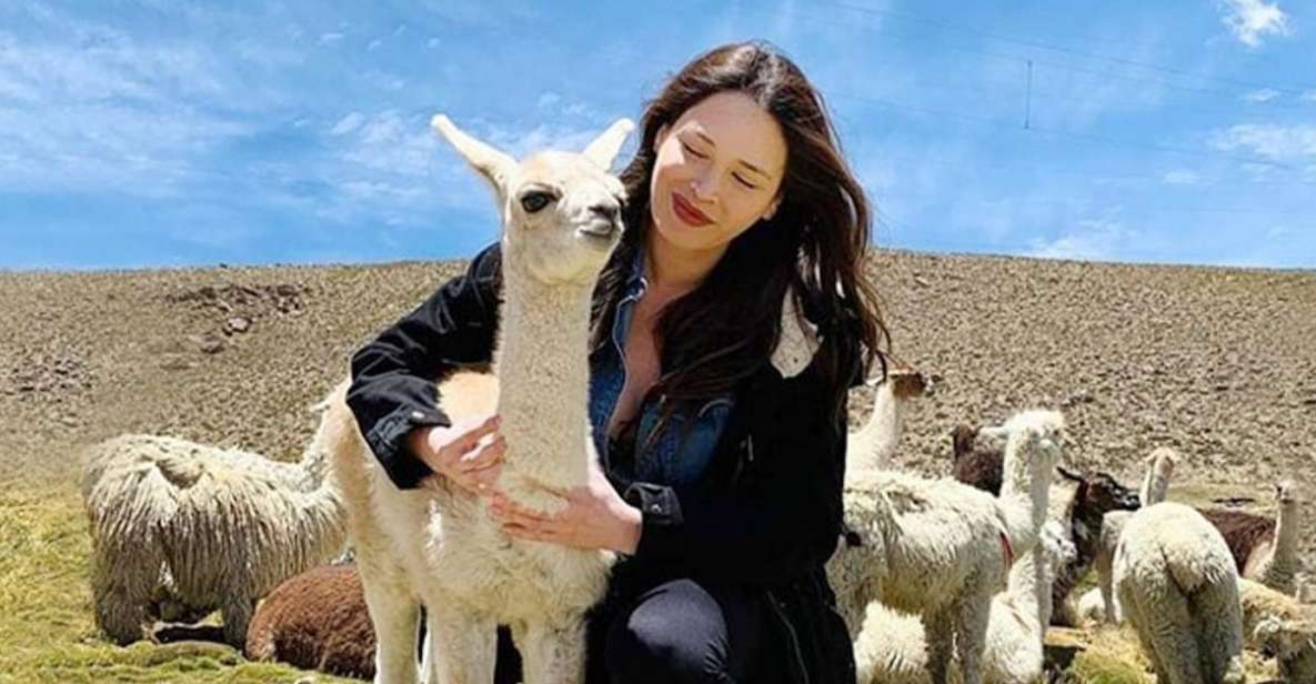 Arequipa: Trekking to the Colca Canyon 2 Days/1 Night - Inclusions and Exclusions