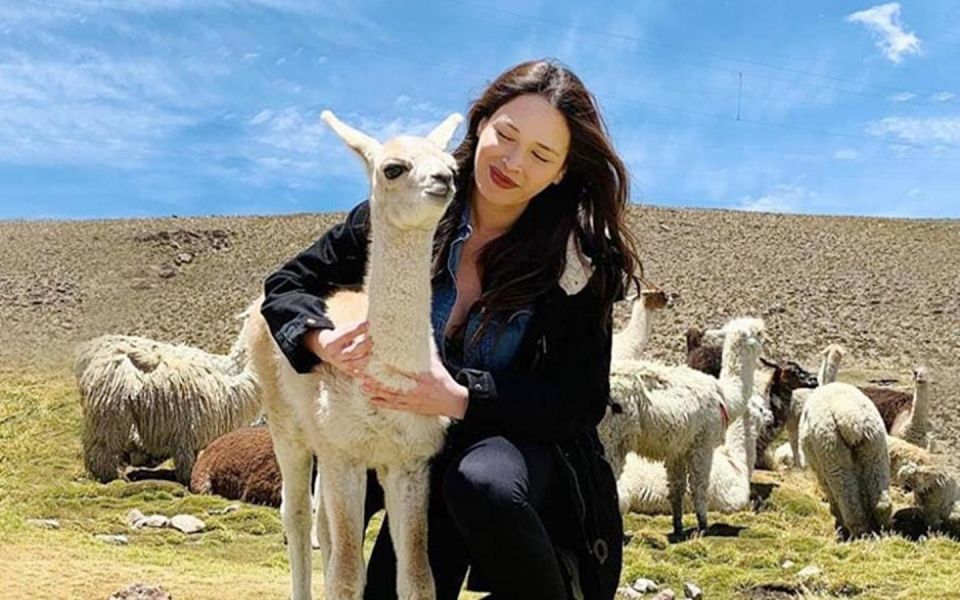 Arequipa: Trekking to the Colca Canyon 2 Days/1 Night - Customer Experiences