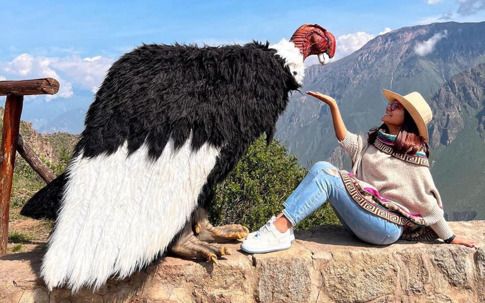 Arequipa: Trekking to the Colca Canyon 2 Days/1 Night - Pricing and Availability