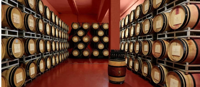 Arezzo Experience: Winery Tour and Wine Tasting - Key Points