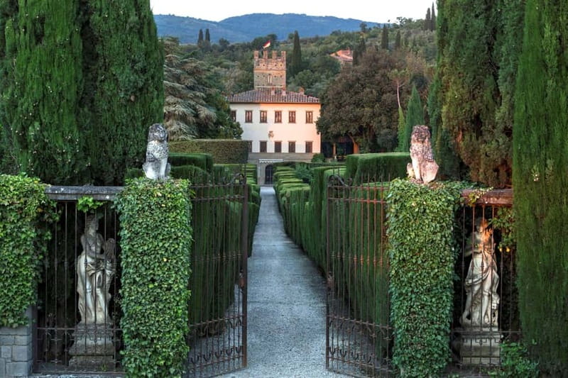 Arezzo Experience: Winery Tour and Wine Tasting - The Experience in Action: What You Can Expect