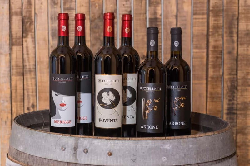 Arezzo: Vertical Tasting of Merlot Wines - Arezzo: Vertical Tasting of Merlot Wines — A Deep Dive into Tuscany’s Hidden Gem