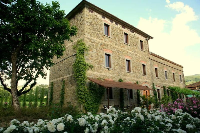 Arezzo: Vertical Tasting of Merlot Wines - The Itinerary in Detail