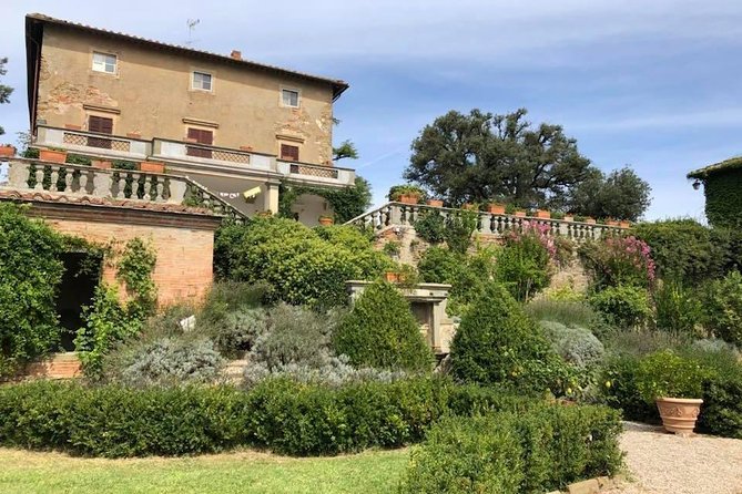 Arezzo: Wine Tasting Experience in Valdichiana Area - Scenic Tuscan Vineyard Tour