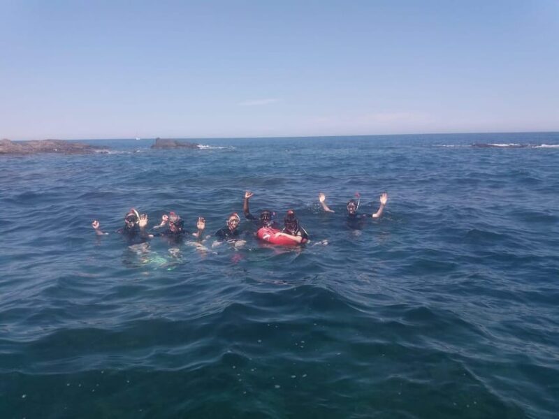 Argelès-Sur-Mer: Snorkeling Into the Marine Natural Park - Key Points
