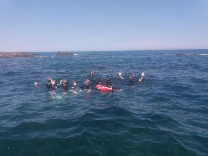 Argelès-Sur-Mer: Snorkeling Into the Marine Natural Park - Language Options