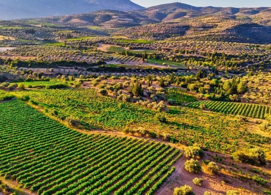 Argo Cultural Arts and Tastings Private Tour - Key Points