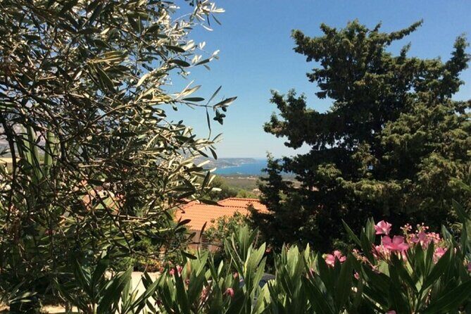 Argostoli and Beyond: A Journey through Villages - The Value of This Tour