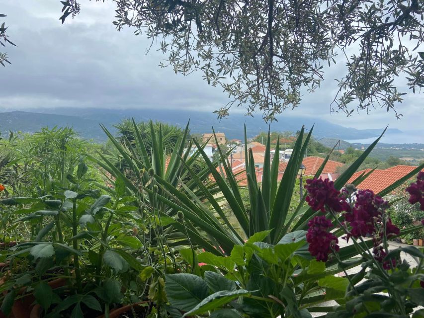 Argostoli and Beyond: a Journey Through Villages - Customer Feedback