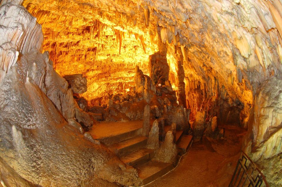Argostoli: Melissani & Drogarati Cave Tour with Wine Tasting - Who Is This Tour Best For?