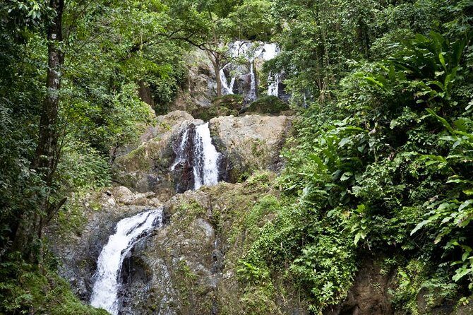 Argyle Waterfall with Adventure Farm - What to Expect from the Tour