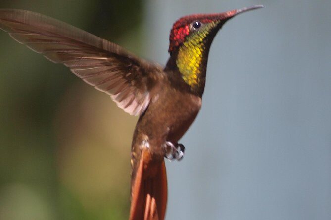 Argyle Waterfall with Adventure Farm - Final Thoughts: Is It Worth It?