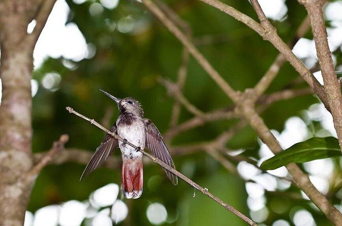 Argyle Waterfall with Adventure Farm - FAQs