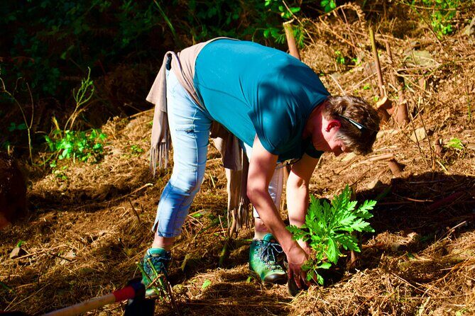 Arieiro Peak, Santana & Ponta São Lourenço in Open Roof 4X4 Tour - A Detailed Look at the Tour Experience