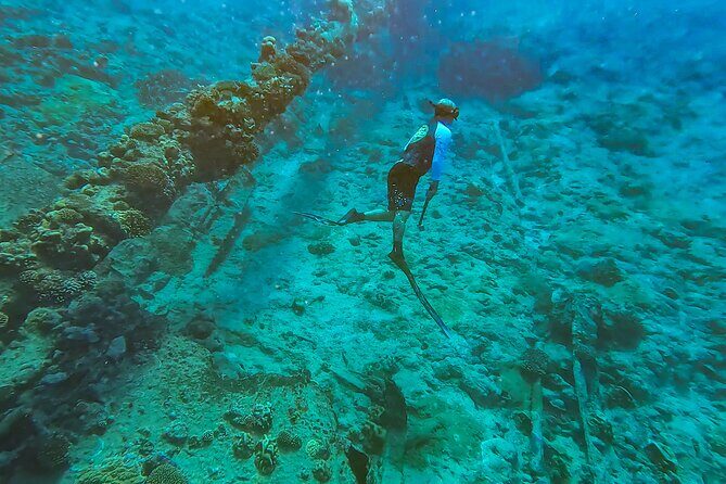 Ariki Adventures: Premium Sea Scooter Shipwreck Adventure - Final Thoughts: Who Is This Tour Best For?