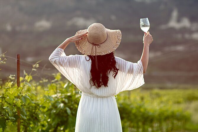 ARISMARI  Vineyard Tour & Wine Tasting - Authenticity, Value, and Who Will Love This