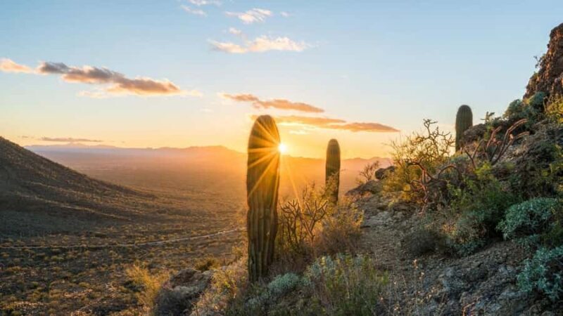 Arizona: Great Western Trail Jeep Tour Adventure - What to Expect from the Great Western Trail Jeep Tour