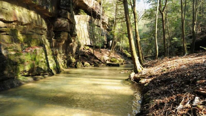 Arizona: Great Western Trail Jeep Tour at Rio Verde - Why the Guided Jeep Tour Works