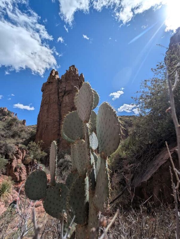Arizona: Hog Canyon Rappelling and Rock Climbing Tour - Key Points