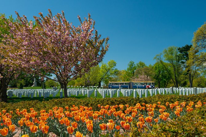 Arlington National Cemetery Hop-On Hop-Off Tour With Guide - Customer Reviews