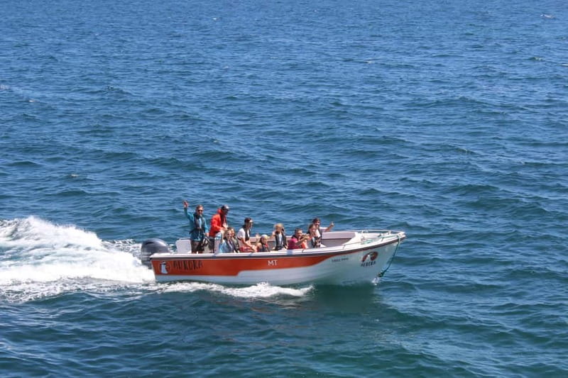 Armação de Pêra: Benagil and 10 Best Caves Guided Boat Tour - The Sum Up