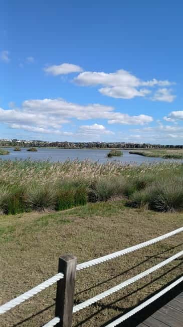 Armação de Pera: Salgados Natural Park E-Bike Tour - A Detailed Look at the Salgados Natural Park E-Bike Tour